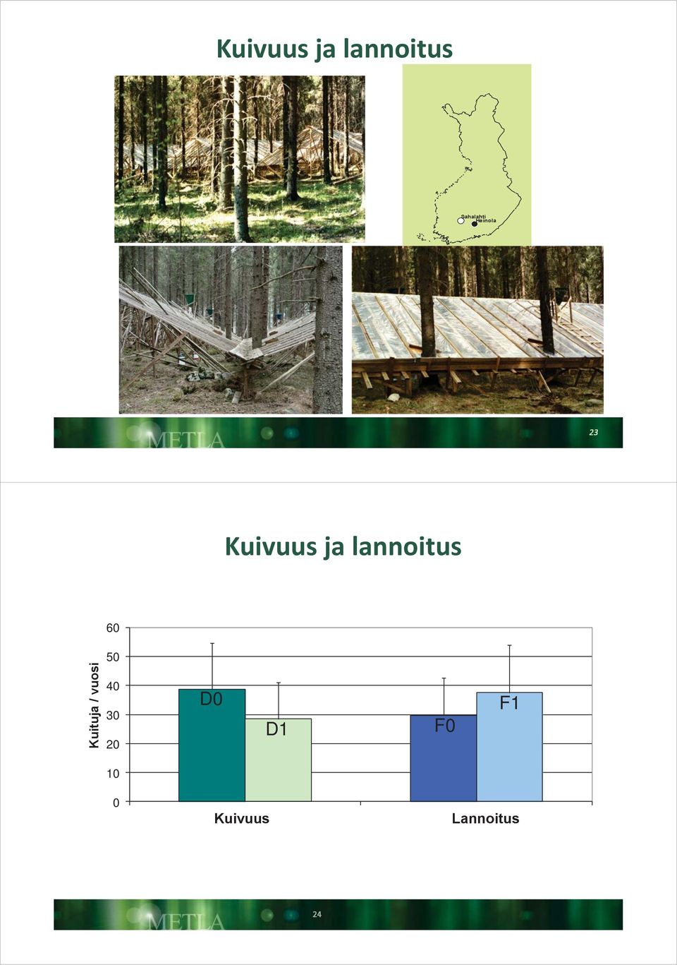 Number Kuituja of tracheids / vuosi