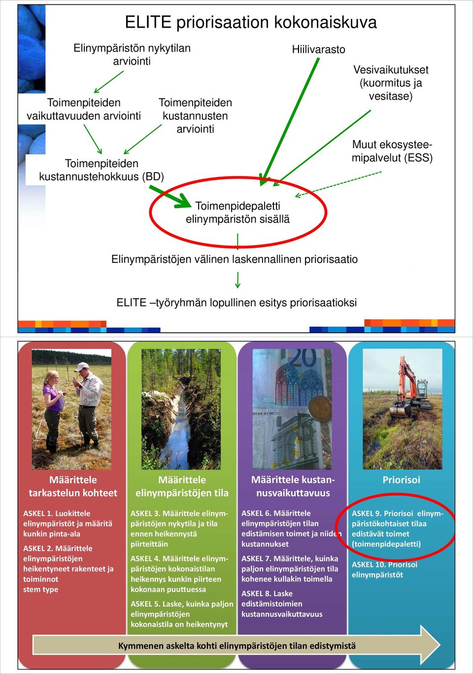 kohteet Määrittele elinympäristöjen tila Määrittele kustannusvaikuttavuus Priorisoi ASKEL 1. Luokittele elinympäristöt ja määritä kunkin pinta ala ASKEL 2.