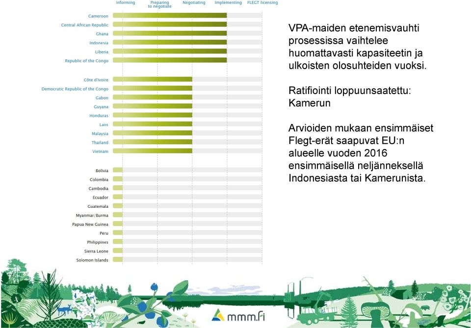 Ratifiointi loppuunsaatettu: Kamerun Arvioiden mukaan ensimmäiset