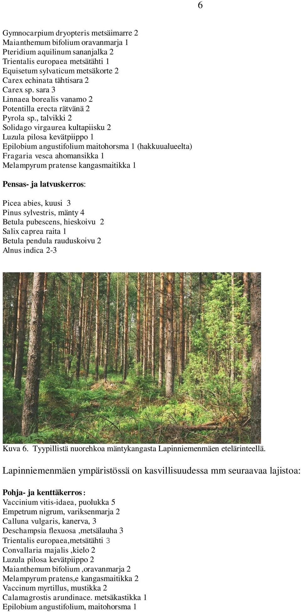 , talvikki 2 Solidago virgaurea kultapiisku 2 Luzula pilosa kevätpiippo 1 Epilobium angustifolium maitohorsma 1 (hakkuualueelta) Fragaria vesca ahomansikka 1 Melampyrum pratense kangasmaitikka 1