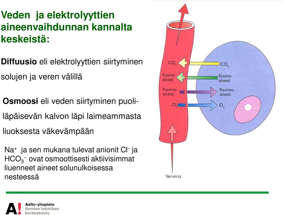 puoliläpäisevän kalvon läpi laimeammasta liuoksesta väkevämpään Na + ja sen mukana