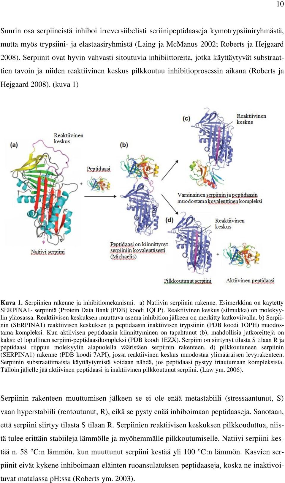 (kuva 1) Kuva 1. Serpiinien rakenne ja inhibitiomekanismi. a) Natiivin serpiinin rakenne. Esimerkkinä on käytetty SERPINA1- serpiiniä (Protein Data Bank (PDB) koodi 1QLP).