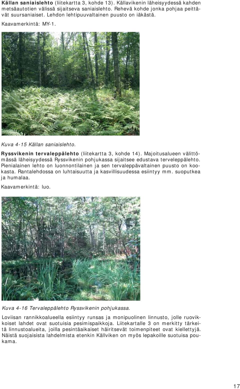 Majoitusalueen välittömässä läheisyydessä Ryssvikenin pohjukassa sijaitsee edustava terveleppälehto. Pienialainen lehto on luonnontilainen ja sen tervaleppävaltainen puusto on kookasta.