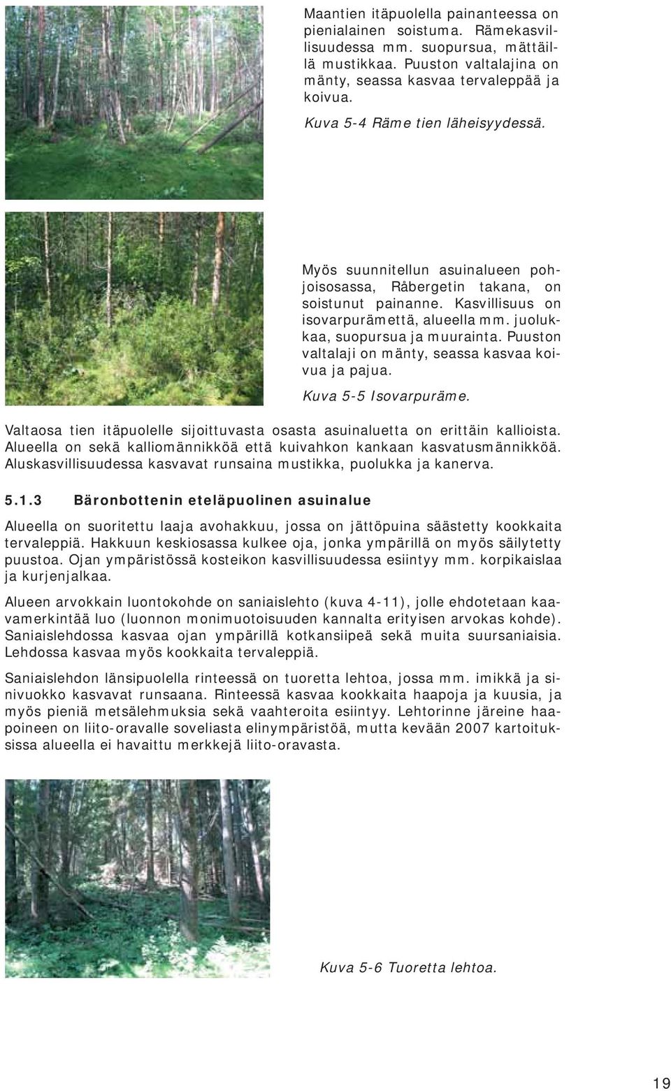 juolukkaa, suopursua ja muurainta. Puuston valtalaji on mänty, seassa kasvaa koivua ja pajua. Kuva 5-5 Isovarpuräme. Valtaosa tien itäpuolelle sijoittuvasta osasta asuinaluetta on erittäin kallioista.