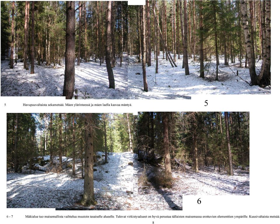 5 6 6-7 Mäkialue tuo maisemallista vaihtelua muutoin tasaiselle