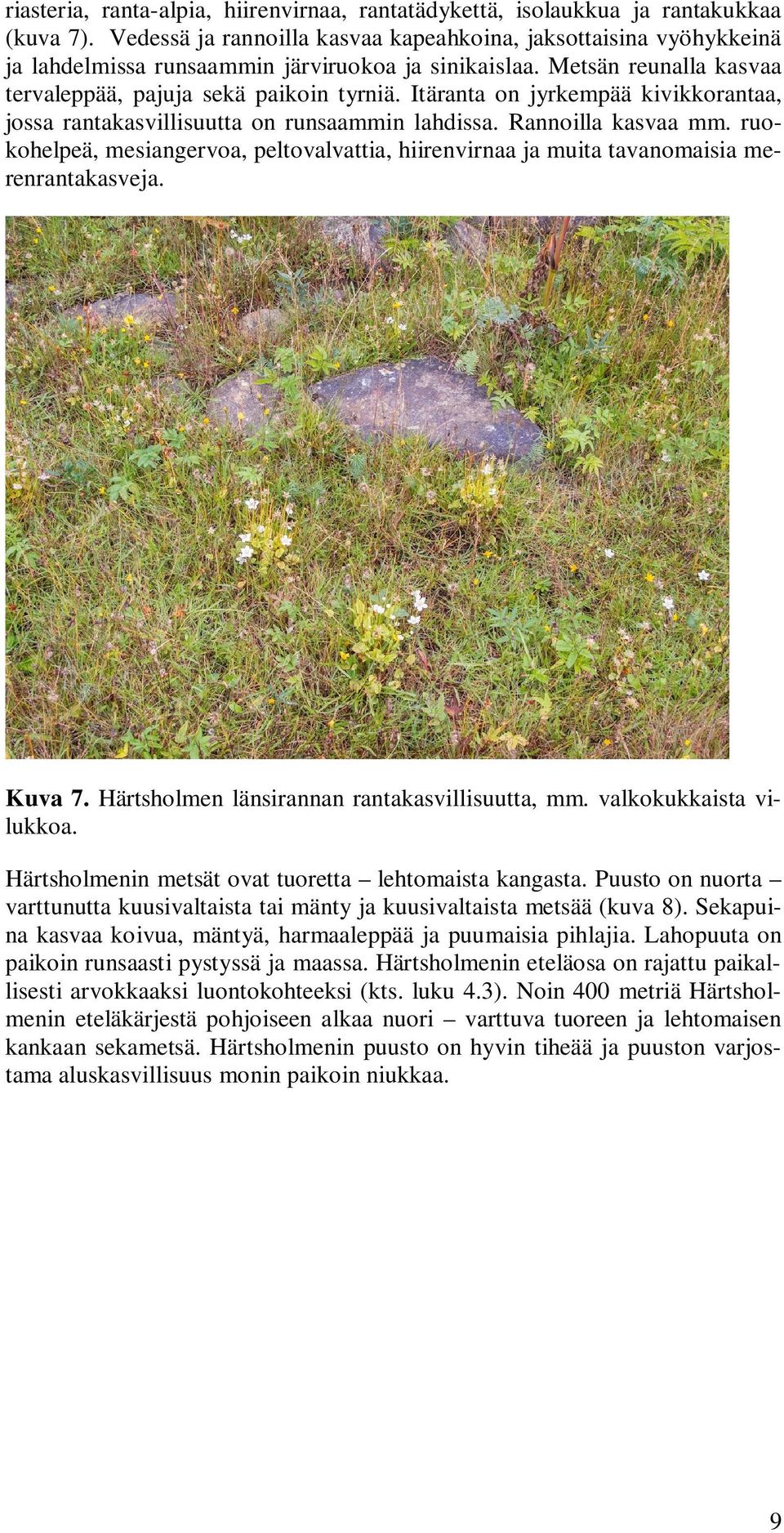 Itäranta on jyrkempää kivikkorantaa, jossa rantakasvillisuutta on runsaammin lahdissa. Rannoilla kasvaa mm.