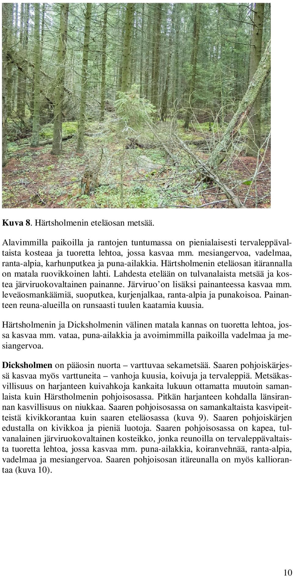 Lahdesta etelään on tulvanalaista metsää ja kostea järviruokovaltainen painanne. Järviruo on lisäksi painanteessa kasvaa mm. leveäosmankäämiä, suoputkea, kurjenjalkaa, ranta-alpia ja punakoisoa.