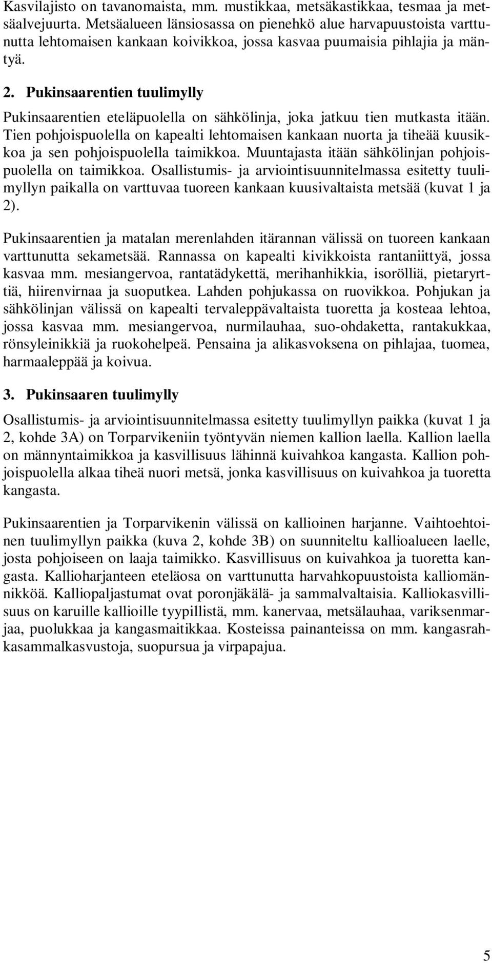 Pukinsaarentien tuulimylly Pukinsaarentien eteläpuolella on sähkölinja, joka jatkuu tien mutkasta itään.