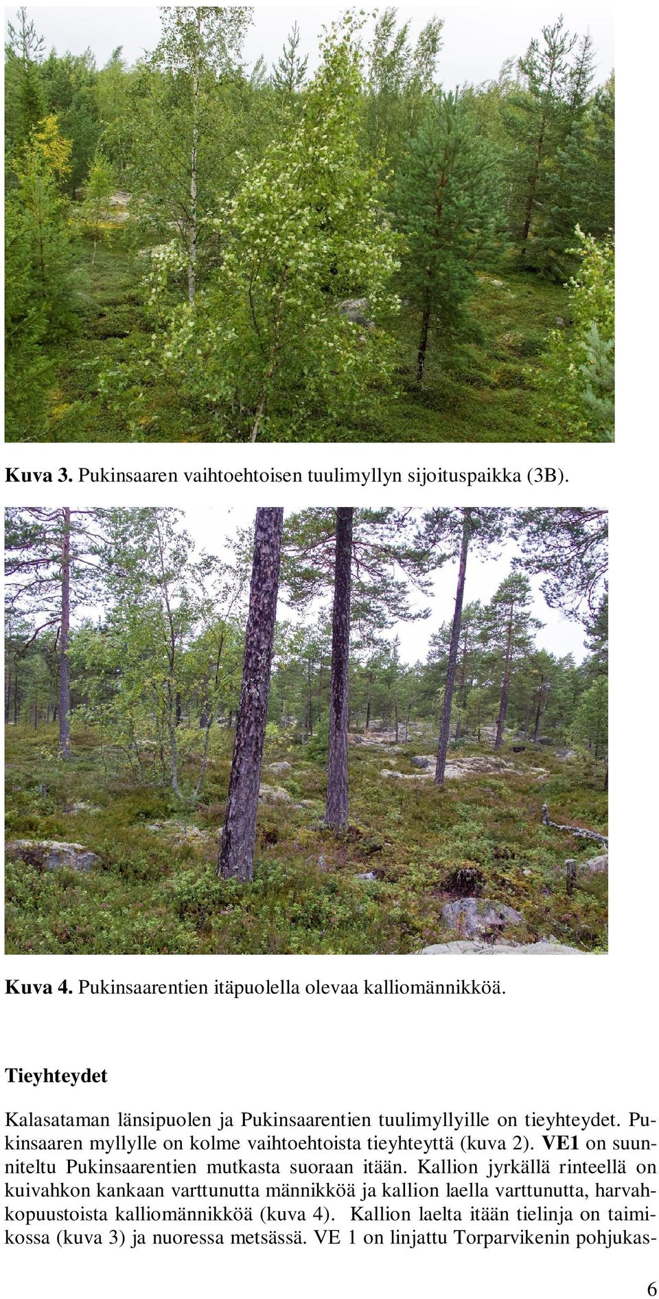 Pukinsaaren myllylle on kolme vaihtoehtoista tieyhteyttä (kuva 2). VE1 on suunniteltu Pukinsaarentien mutkasta suoraan itään.