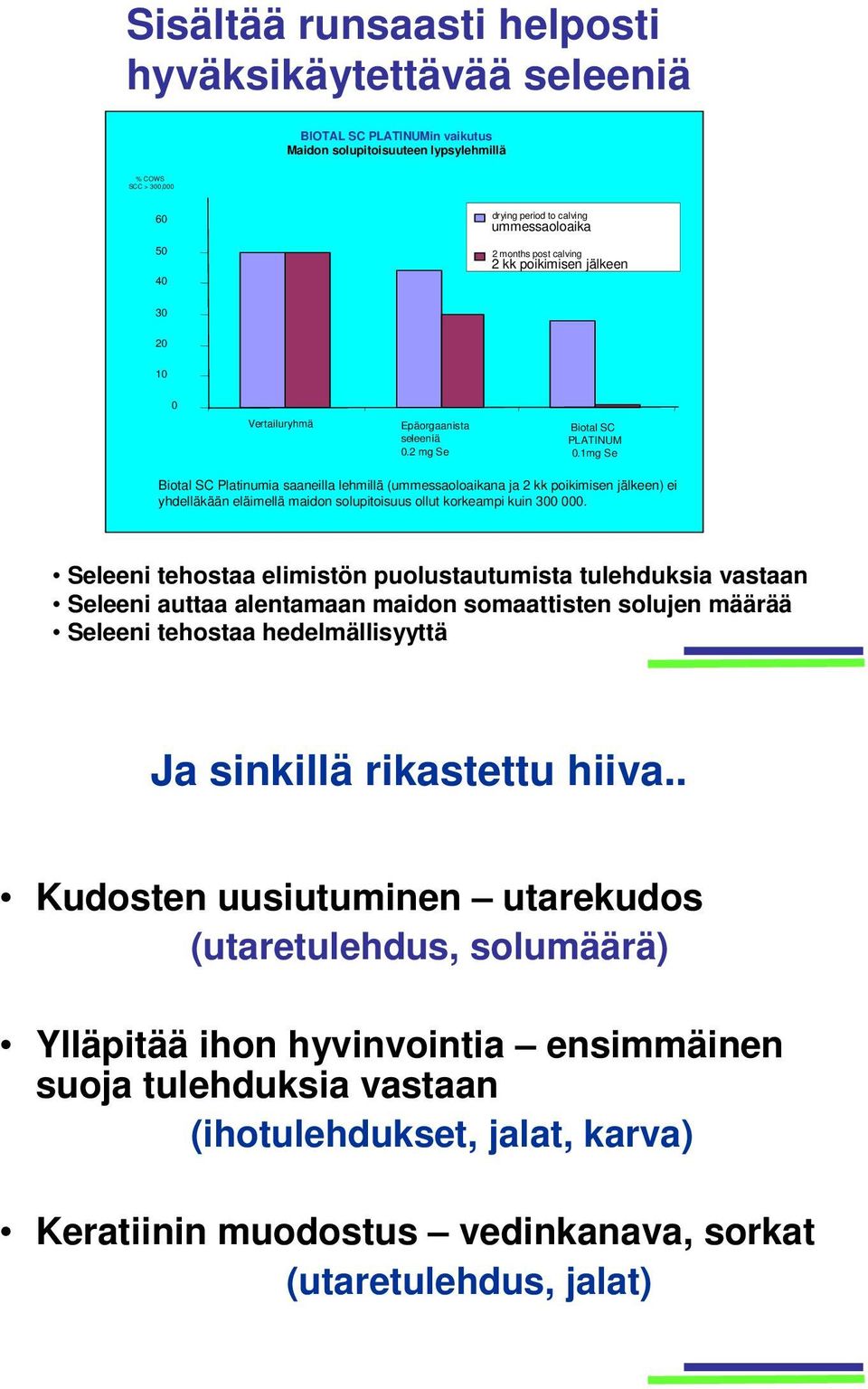 1mg Se Biotal SC Platinumia saaneilla lehmillä (ummessaoloaikana ja 2 kk poikimisen jälkeen) ei yhdelläkään eläimellä maidon solupitoisuus ollut korkeampi kuin 300 000.