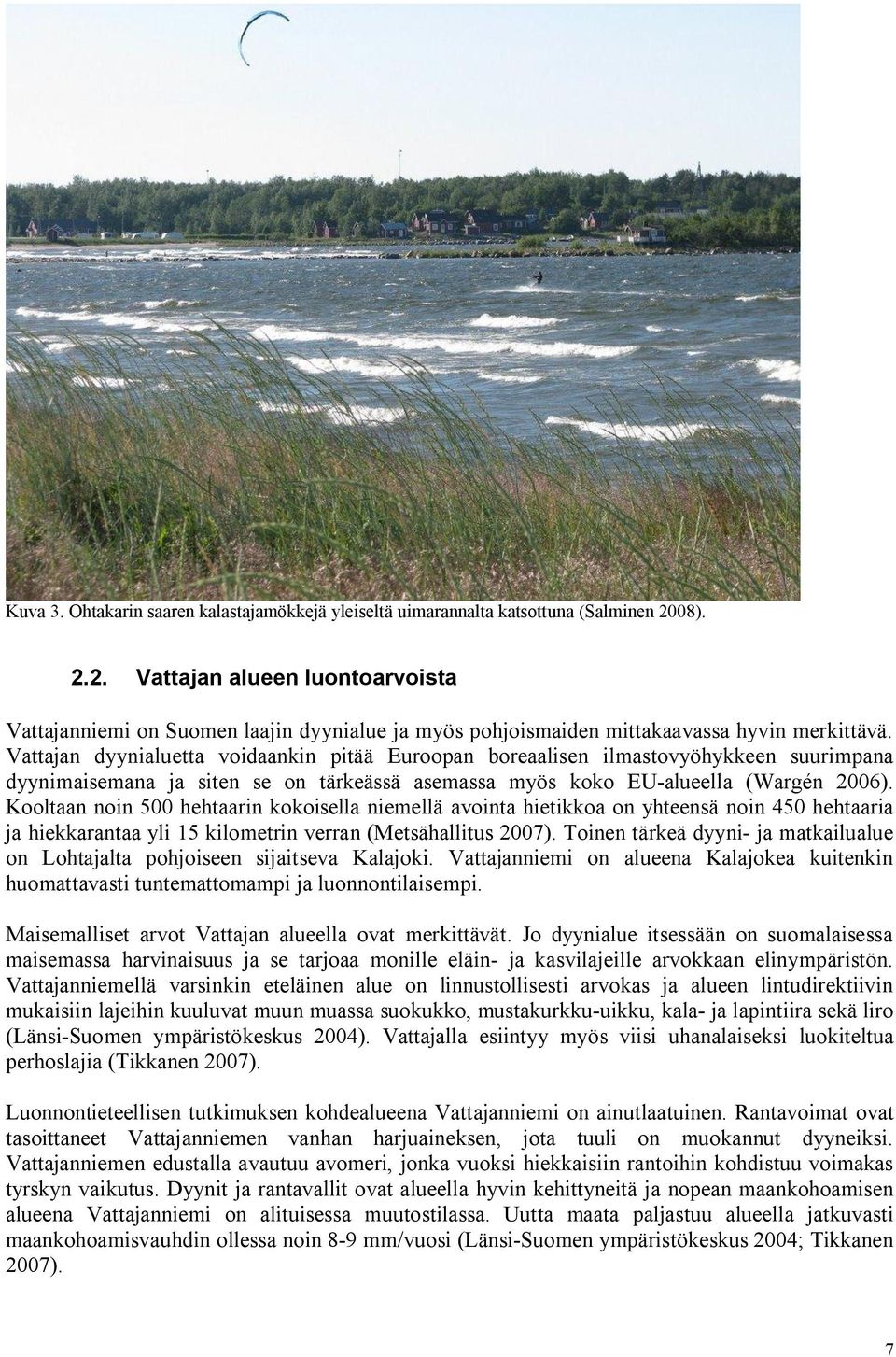 Vattajan dyynialuetta voidaankin pitää Euroopan boreaalisen ilmastovyöhykkeen suurimpana dyynimaisemana ja siten se on tärkeässä asemassa myös koko EU-alueella (Wargén 26).