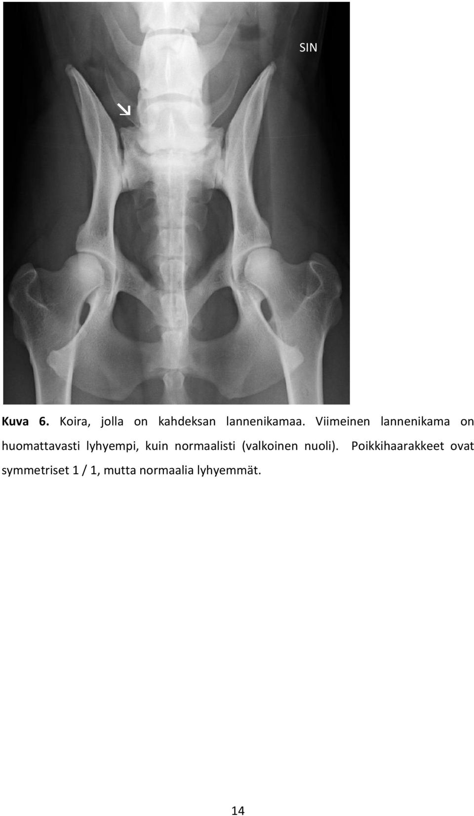 kuin normaalisti (valkoinen nuoli).