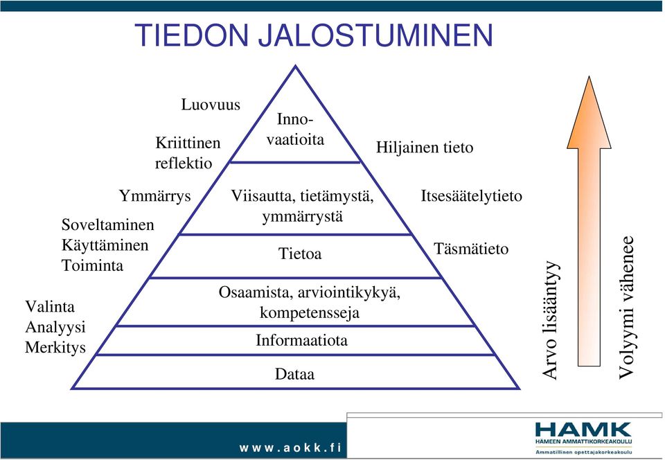 Viisautta, tietämystä, ymmärrystä Tietoa Osaamista, arviointikykyä,