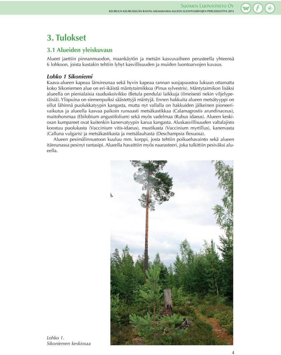 Lohko 1 Sikoniemi Kaava-alueen kapeaa länsireunaa sekä hyvin kapeaa rannan suojapuustoa lukuun ottamatta koko Sikoniemen alue on eri-ikäistä mäntytaimikkoa (Pinus sylvestris).