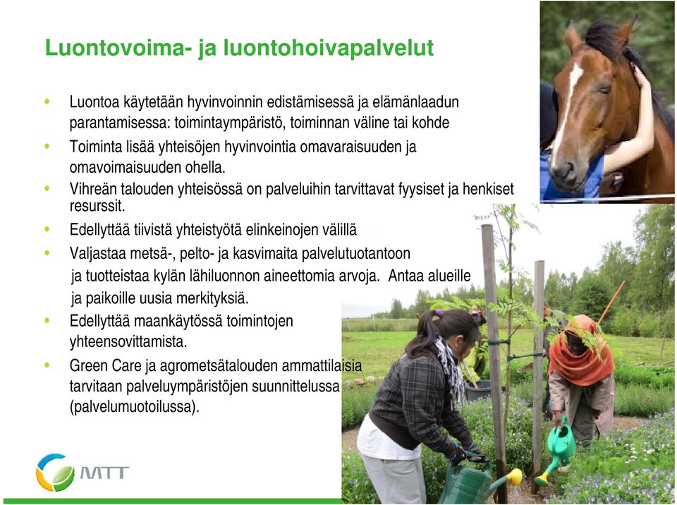 Edellyttää tiivistä yhteistyötä elinkeinojen välillä Valjastaa metsä-, pelto- ja kasvimaita palvelutuotantoon ja tuotteistaa kylän lähiluonnon aineettomia arvoja.