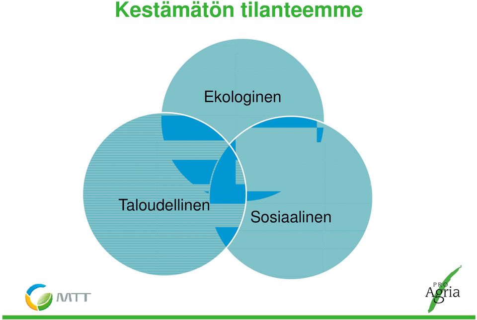 Ekologinen