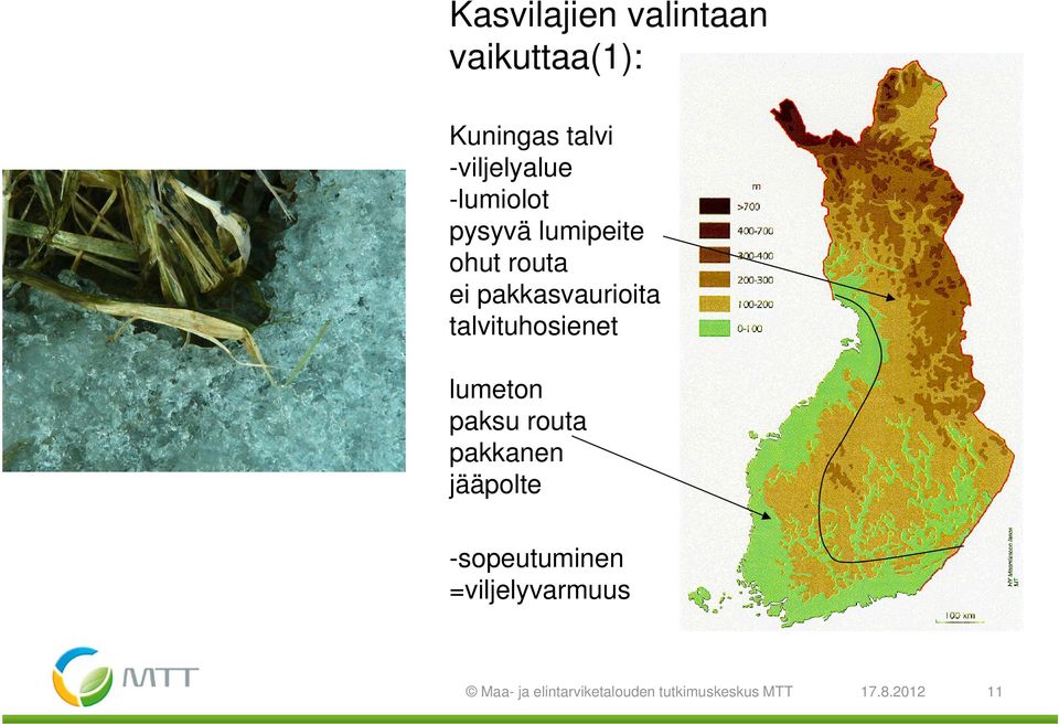 talvituhosienet lumeton paksu routa pakkanen jääpolte