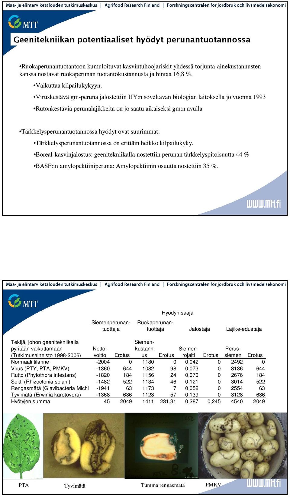 Viruskestävä gm-peruna jalostettiin HY:n soveltavan biologian laitoksella jo vuonna 1993 Rutonkestäviä perunalajikkeita on jo saatu aikaiseksi gm:n avulla Tärkkelysperunantuotannossa hyödyt ovat