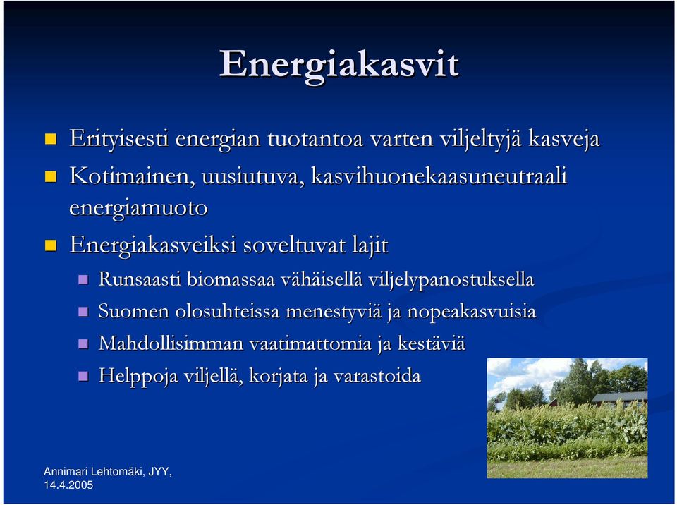 Runsaasti biomassaa vähäisellä viljelypanostuksella Suomen olosuhteissa menestyviä ja