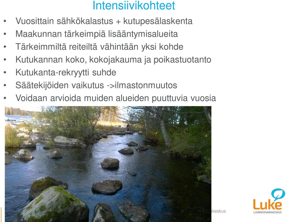 Kutukannan koko, kokojakauma ja poikastuotanto Kutukanta-rekryytti suhde