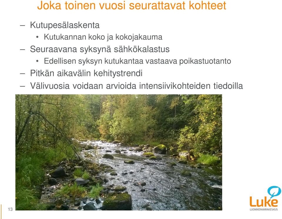 syksyn kutukantaa vastaava poikastuotanto Pitkän aikavälin
