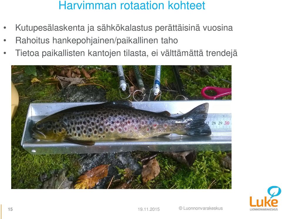 hankepohjainen/paikallinen taho Tietoa