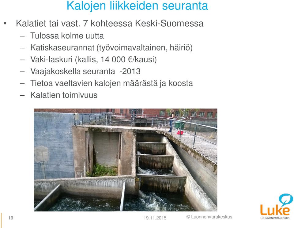 (työvoimavaltainen, häiriö) Vaki-laskuri (kallis, 14 000 /kausi)