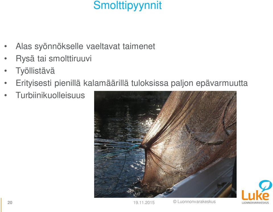 Erityisesti pienillä kalamäärillä tuloksissa