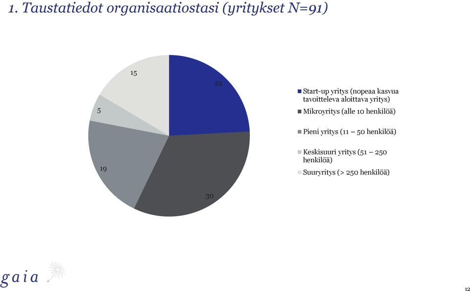 Mikroyritys (alle 10 henkilöä) Pieni yritys (11 50 henkilöä) 19