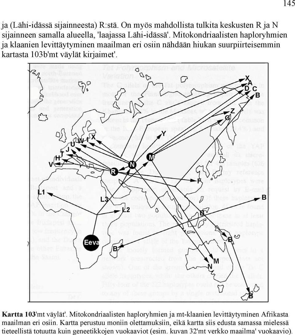 kirjaimet'. 145 Kartta 103'mt väylät'. Mitokondriaalisten haploryhmien ja mt-klaanien levittäytyminen Afrikasta maailman eri osiin.