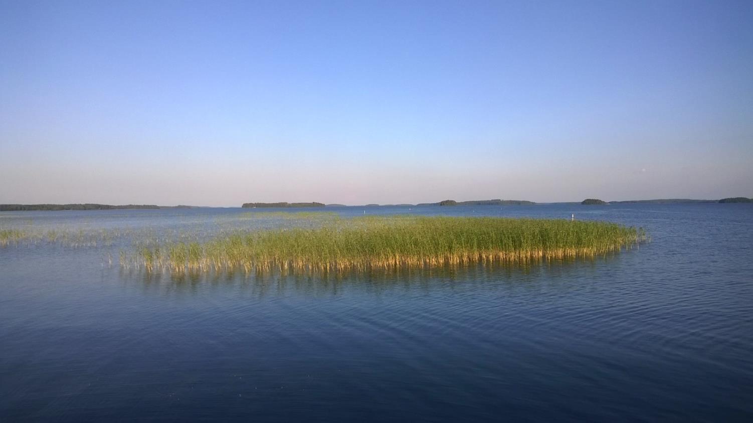 Mitä on