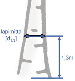 TERMEJÄ JA KÄSITTEITÄ 4.