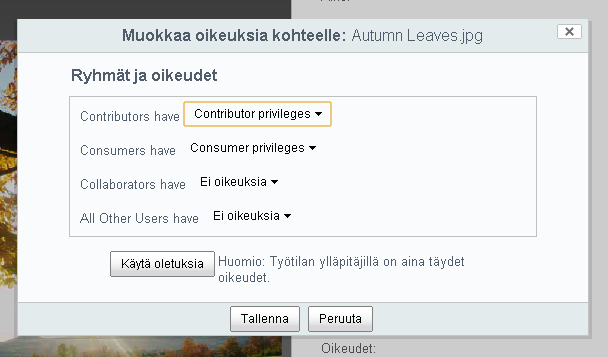 Koppa käyttöohjeet 20 Opettajat ovat Contributoreita Oppilaat ovat Consumereita Jos haluat poistaa muilta Opettajille oikeuksia tiedostoihisi, niin poista Contributors ja Consumers oikeudet.