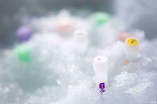 Biopankkien yhdistymisestä tehty kaksi selvitystä BIOBANK FINLAND