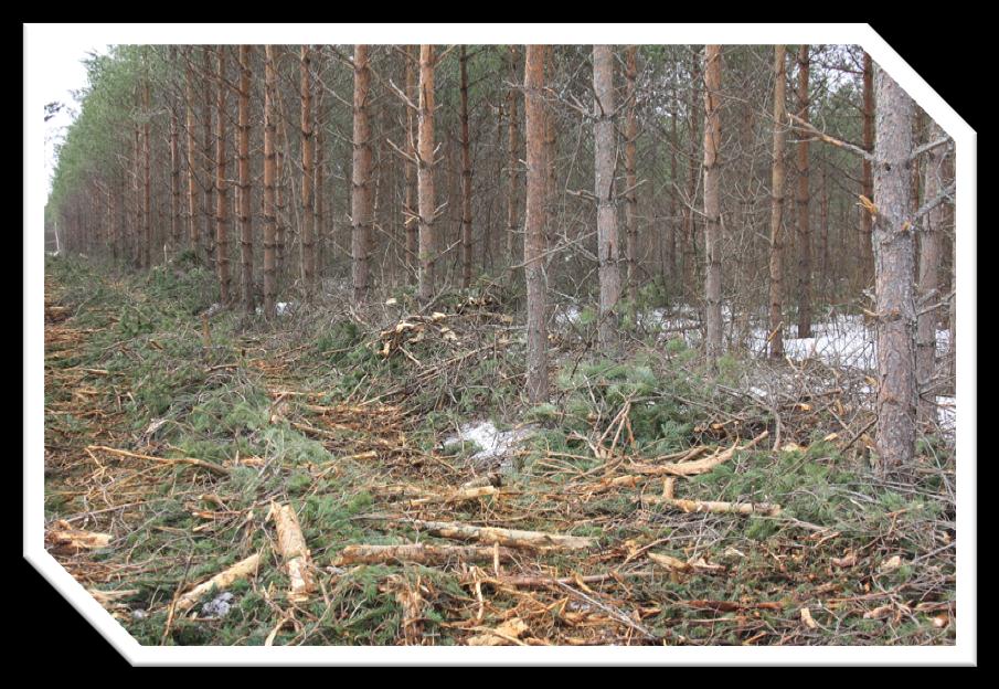 Suonpohjien jälkikäyttövaihtoehtoja