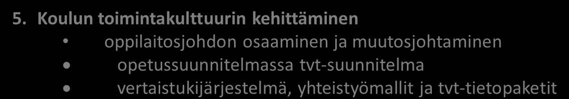 Kansallisen tvt:n opetuskäytön suunnitelma Rahoituksesta sopiminen Toimijoiden vastuuttaminen Kehittämisaikataulun määrittäminen 5.