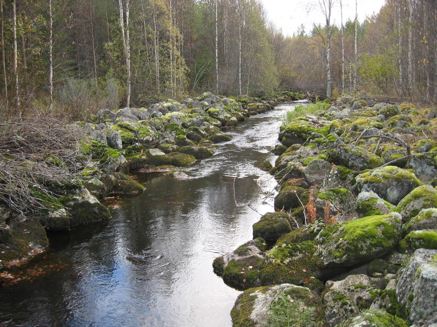 lisääntymistulos vaarallisen alhaisella tasolla.