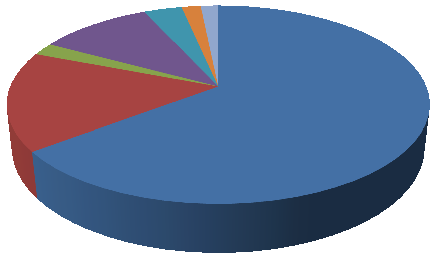 Toimintamenot pääluokittain v. 2016 (yht. 18,1 milj. ) Kiinteistötoimi 4 866 960 ; 27 % Yleishallinto; 2 986 050 ; 16 % Hautaustoimi 1 754 490 ; 10 % Seurakunn. toiminta 7 810 380 ; 43 % Yhtymän srk.