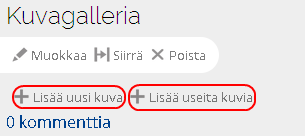 [[o:s=0]] [[o:s=0]] [[o:s=1]] [[o:s=0]] [[o:s=0]] Kissa Ilves Pöytä Koira Hirvi 6. Kuvagalleria Tämä luo sivulle kuvagallerian, johon voit lähettää kuvia. Otsikko on pakollinen.