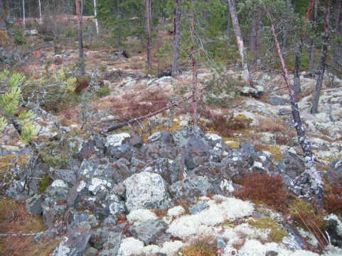 laisia, muinaisjäännöskelpoisia tontteja Lapualta havaittu.