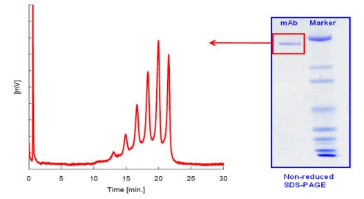 Biotechnological manufacturing process pexpression 4.