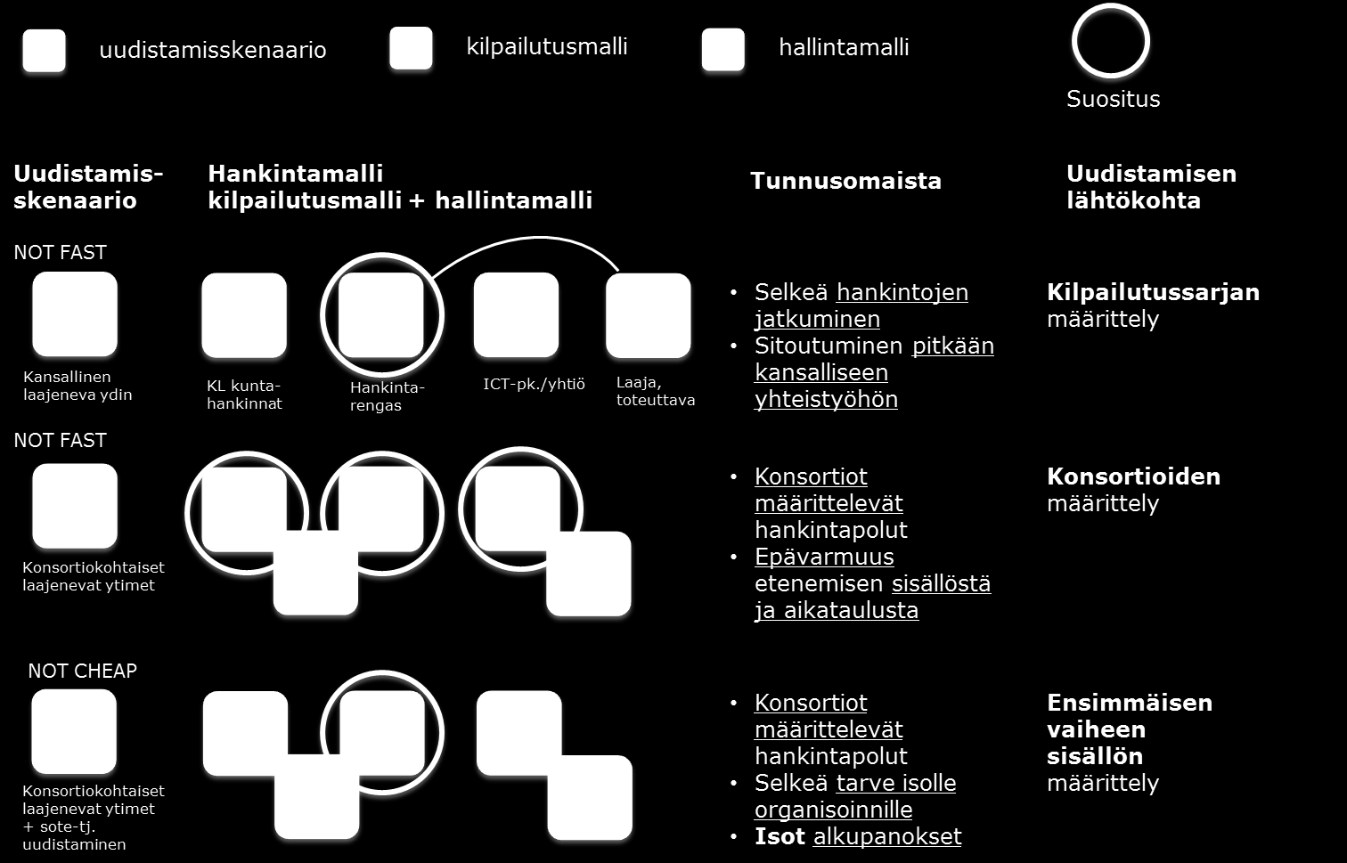 12 Kun uudistamis-, hankinta- ja hanketoimistovaihtoehtojen kuvaukset oli tehty, oli vuorossa niiden keskinäinen yhteensovittaminen.