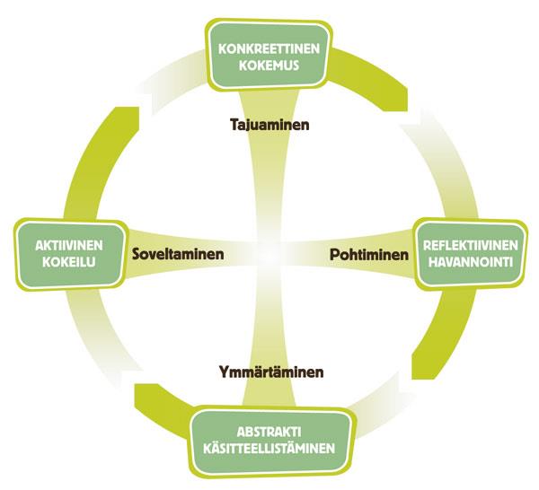 Kuvio 2: Kokemuksellisen oppimisen kehä, D. Kolb. Lähde OK-Opintokeskus. Palveluita ja niistä muodostuvaa verkostoa / palvelukokonaisuutta kehitetään yhdessä alueen toimijoiden kanssa.