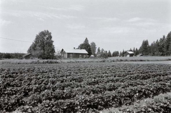 Kuvaus Nuutilan kylätien varrella on hyvin säilyneitä ja ehjiä talonpoikaisia pihapiirejä. Kylä sijaitsee kahdella kapealla luodekaakko -suuntaisella moreeniselänteellä.