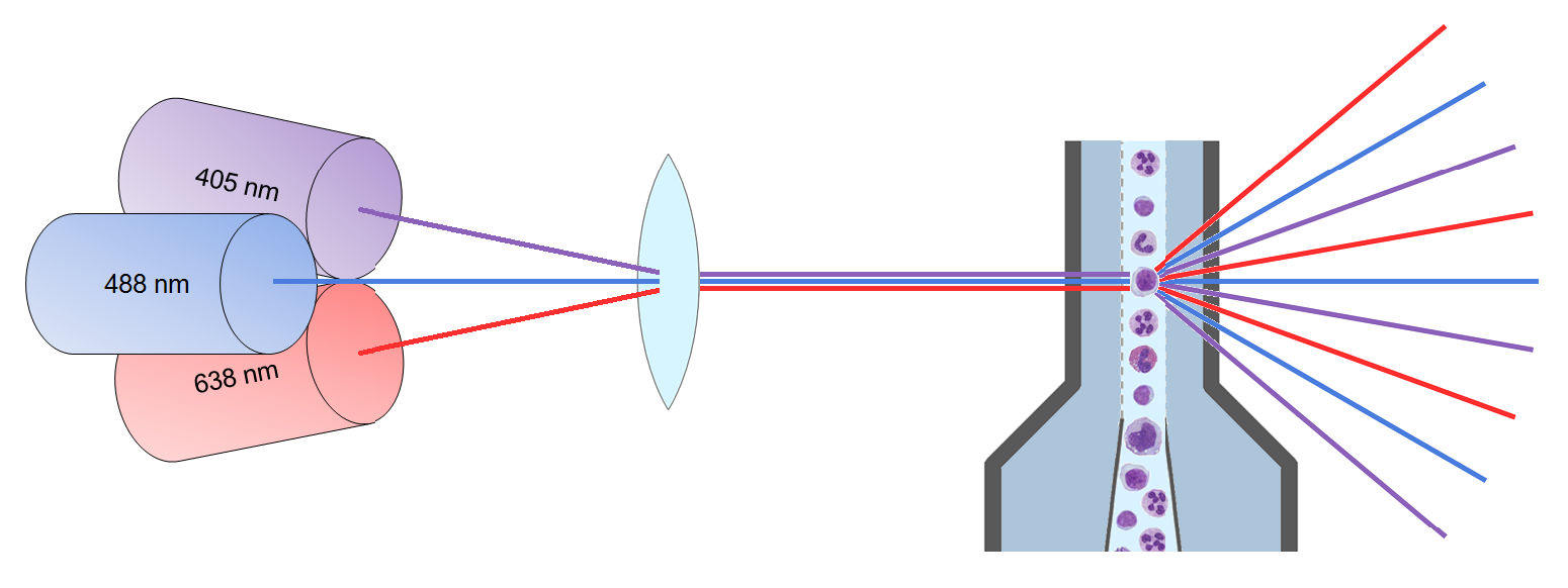 34 mä erotellaan myöhemmin optisten suodattimien avulla. Lasersäteiden keskittäminen saa säteen tarpeeksi pieneksi valaistakseen vain yhden solun kerrallaan.