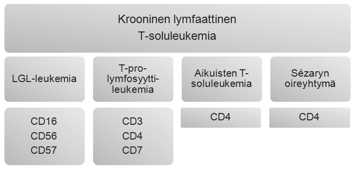 55 Suurigranulaarisessa lymfosyytti leukemiassa eli LGL-leukemiassa solut voivat olla joko T- tai NK- eli luonnollisia tappajasoluja.