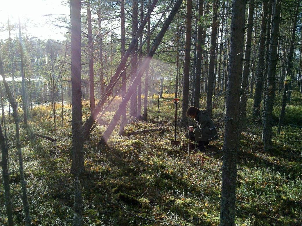 kärjessä on alava tasanne johon tehdyistä parista koekuopasta palanutta luuta.