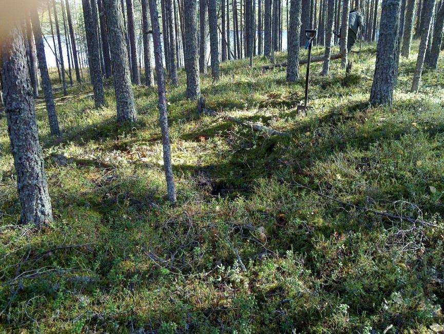 2 m halk kuopan jäänne. Kuopassa podsolmaannos, ei hiiltä tms. Ihmistekoinen yli 100 v vanha maannoksesta päätellen. Kuopan funktio on tuntematon.