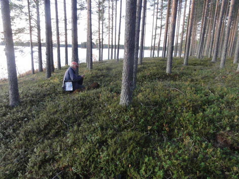 Paikalla on laaja kumpuileva hiekkakangas jonka lounaispäähän rannan tuntumaan tehdystä parista koekuopasta