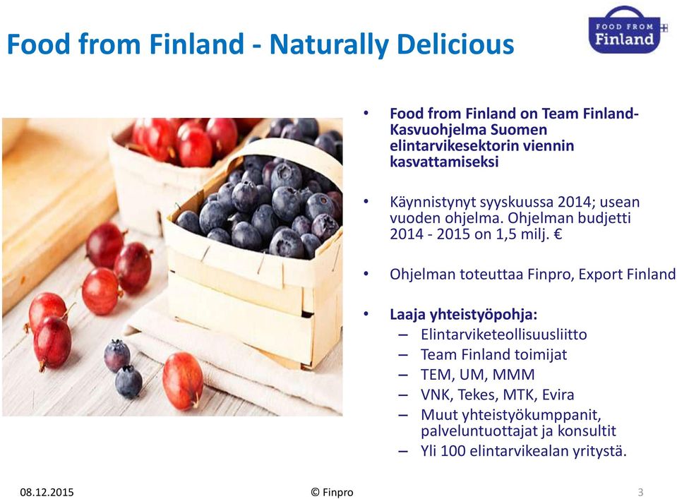 Ohjelman toteuttaa Finpro, Export Finland Laaja yhteistyöpohja: Elintarviketeollisuusliitto Team Finland toimijat TEM, UM,